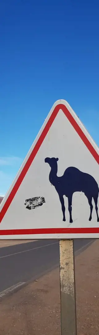 Fahrt nach Mhamid – Tor zur Sahara